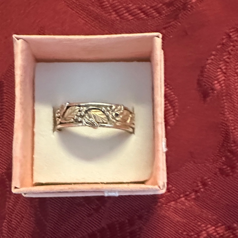 Elegant Black Hills Style Gold and Silver Band Ring
